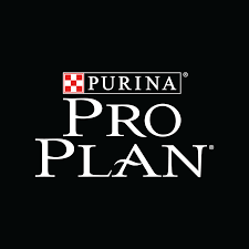 Pro Plan
