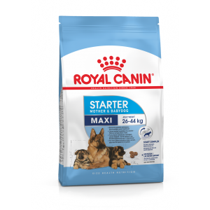 Royal Canin Maxi Starter Pour Chienne Et Chiots 1kg