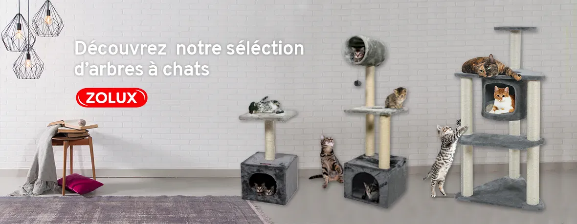 Univers Animal promo