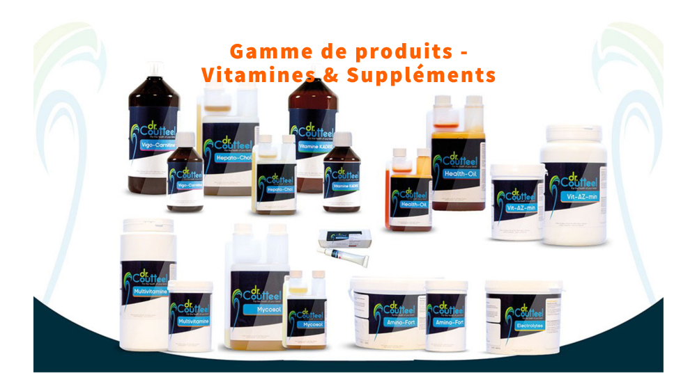 Univers Animal promo