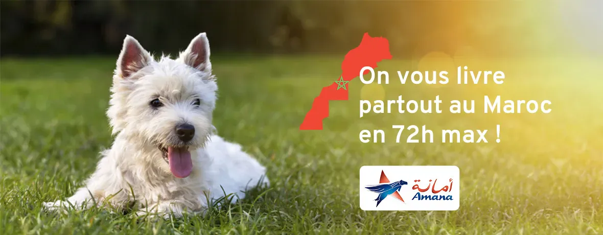 Univers Animal promo