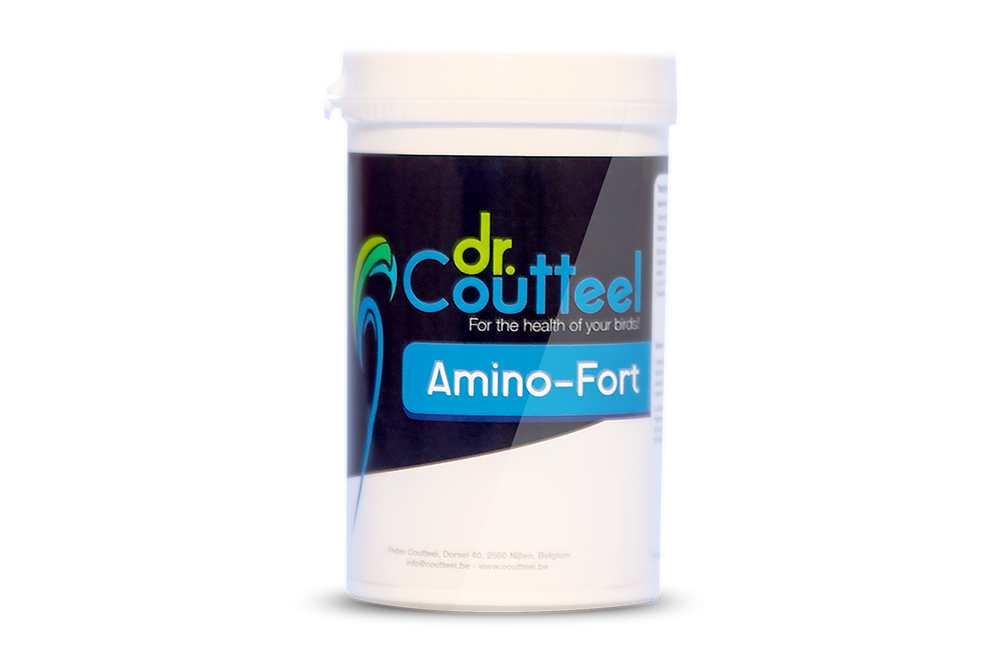 AMINO-FORT Supplément d'acides aminés